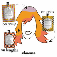 Load image into Gallery viewer, The Wake Up Circle